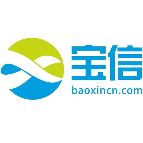 安徽寶信信息科技