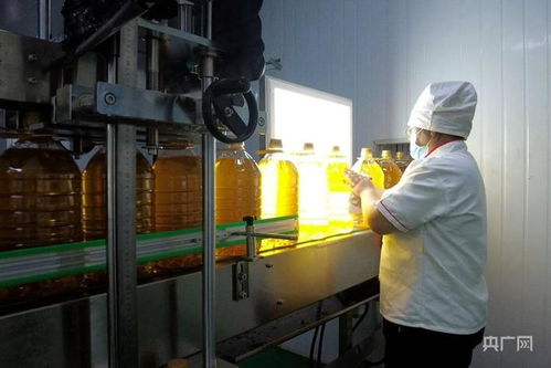 揚(yáng)優(yōu)勢(shì)補(bǔ)短板強(qiáng)弱項(xiàng)新疆糧油產(chǎn)業(yè)快速發(fā)展