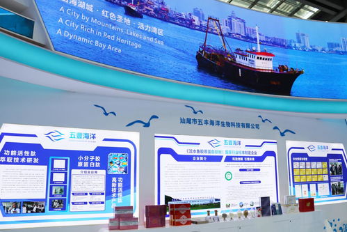 向海圖強，攜手繪就藍色發(fā)展新畫卷——深圳汕尾合作助推海洋經(jīng)濟高質(zhì)量發(fā)展