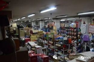 桃花綻放迎客來，秦人村落笑聲多——互聯網創新為鄉村旅鋪就“云端”致富路